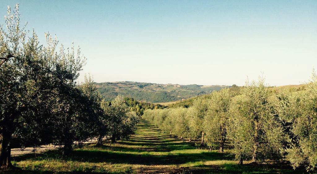 Podere Le Corone Villa Monte Castello di Vibio Eksteriør billede