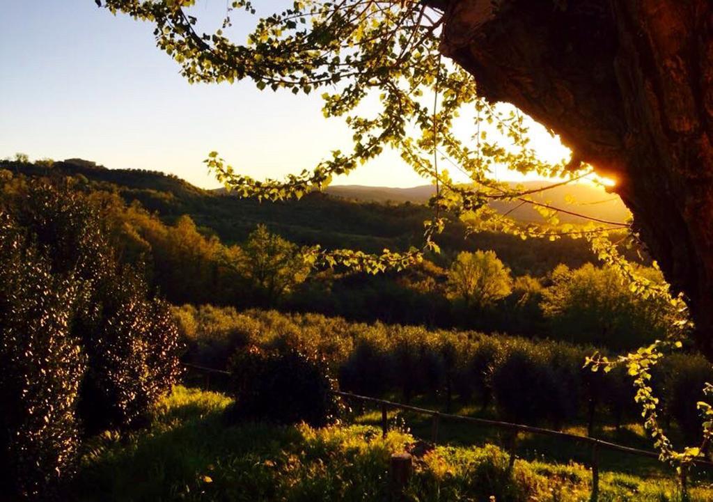 Podere Le Corone Villa Monte Castello di Vibio Eksteriør billede