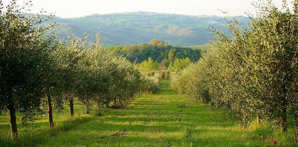 Podere Le Corone Villa Monte Castello di Vibio Eksteriør billede